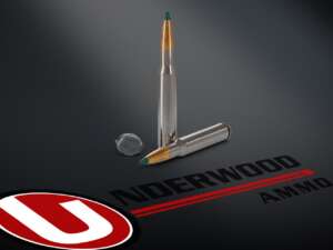Hunting Ammo