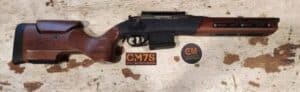 308 Win Bolt Rifle
