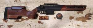 338 ARC Rifle