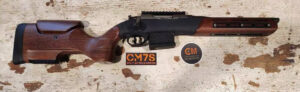 375 Raptor Rifle